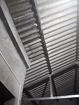 Baby flower 1 online show from March 17, 5:00 am