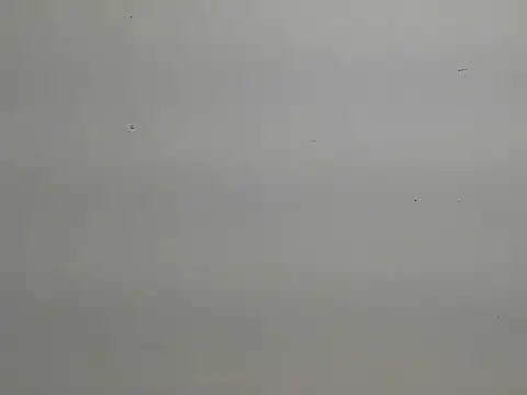 Snapshot of risu_00 chatting on March 6, 3:30 pm risu 00 online show from March 6, 3:30 pm