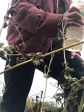 Nth5h online show from March 11, 4:18 am