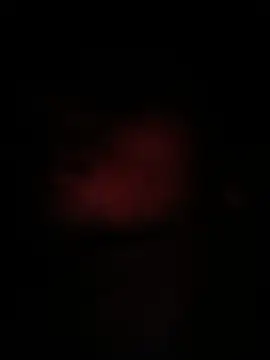 peanutbutteater online show from June 9, 2:28 pm
