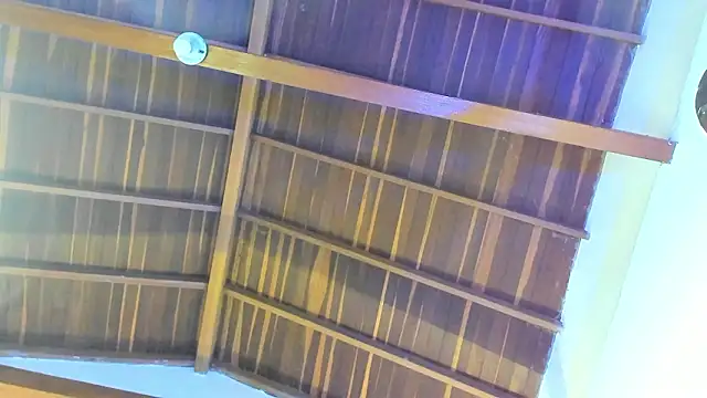 TonyPetrovjs online show from February 26, 5:50 am