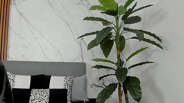 Amara Velvet  online show from July 14, 9:53 pm