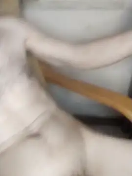 AndrewXSkyp online show from March 17, 10:24 pm