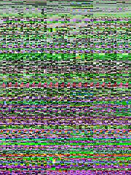 kana 0012 online show from March 7, 12:51 am