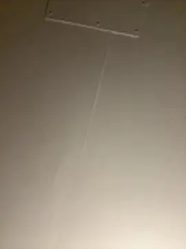 BunnyYT online show from July 31, 7:41 am