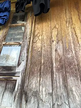 Vena-beauty online show from March 19, 1:31 am