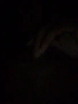 Snapshot of gostinhopauzudo chatting on March 22, 3:21 am gostinhopauzudo online show from March 22, 3:21 am