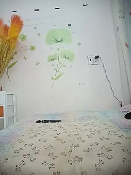 Meow cute online show from July 6, 6:43 am
