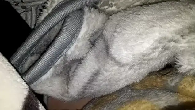 azmanmami online show from March 20, 10:47 pm