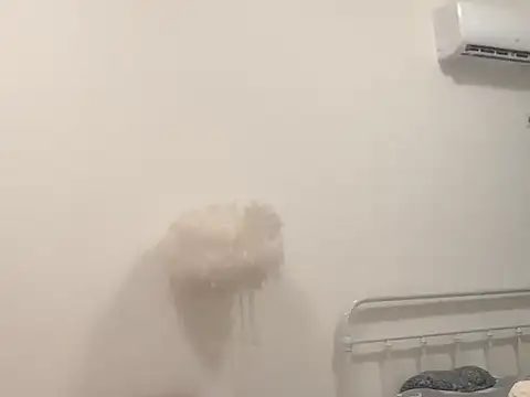 zz16888 online show from March 16, 2:10 pm