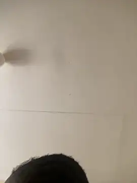 berl3 online show from March 12, 10:54 am