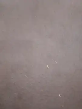 kavita-bhabhi-chut online show from March 9, 7:51 pm