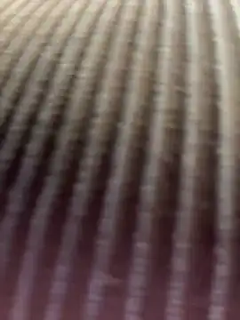 Snapshot of Cherry_Charlottee chatting on May 27, 1:57 am Cherry Charlottee online show from May 27, 1:57 am