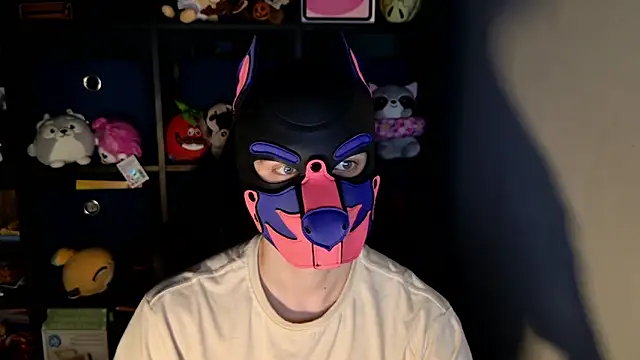MellPUP online show from June 22, 11:40 am