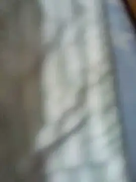 Snapshot of sub_arabe chatting on May 3, 1:50 pm sub arabe online show from May 3, 1:50 pm