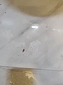 Splashyblackboard2 online show from March 13, 8:15 pm