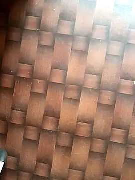 Snapshot of Dreamxii chatting on March 13, 6:31 am Dreamxii online show from March 13, 6:31 am