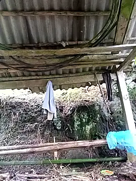 NIANIAKUTE online show from April 26, 5:05 am