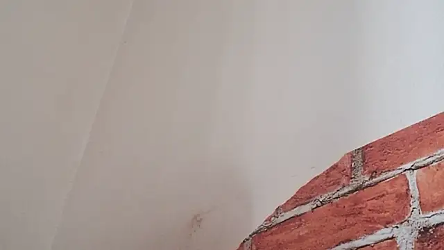 Sueliton2 online show from March 28, 5:34 pm