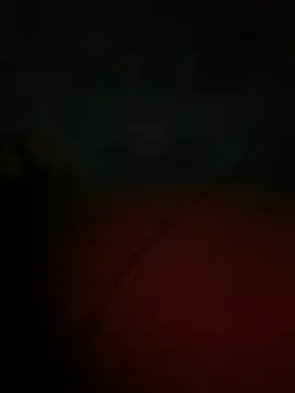 Snapshot of Valerials chatting on April 14, 7:25 am Valerials online show from April 14, 7:25 am