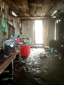 Lily Daisy online show from March 25, 3:56 am