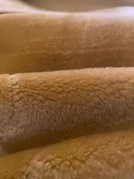 Ashwak trans online show from April 4, 12:02 pm