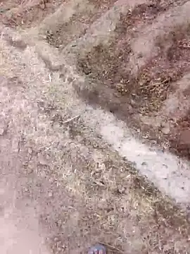 xmanraavan online show from March 28, 1:38 am