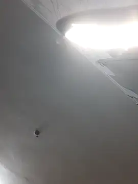 ShellBixAngeLL online show from April 1, 5:54 pm