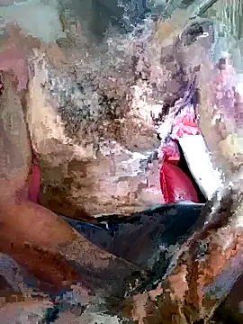 Snapshot of SteedyGee chatting on March 27, 9:32 am SteedyGee online show from March 27, 9:32 am