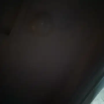 tainted95 online show from April 23, 12:23 am