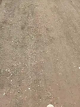 minauu s online show from April 3, 5:00 pm