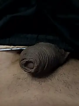 novinho137 online show from April 6, 10:54 pm