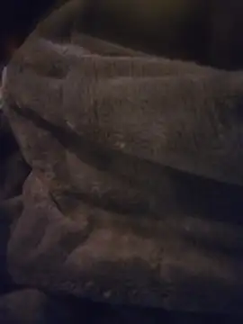 CocKtopus prim3 online show from April 21, 6:55 pm