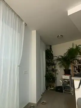 zensorial online show from April 23, 8:11 pm