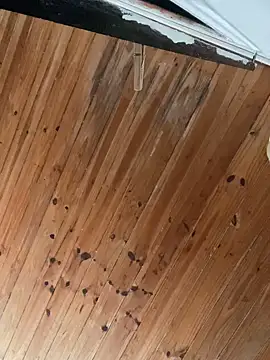 Juliett06 online show from April 5, 4:26 pm