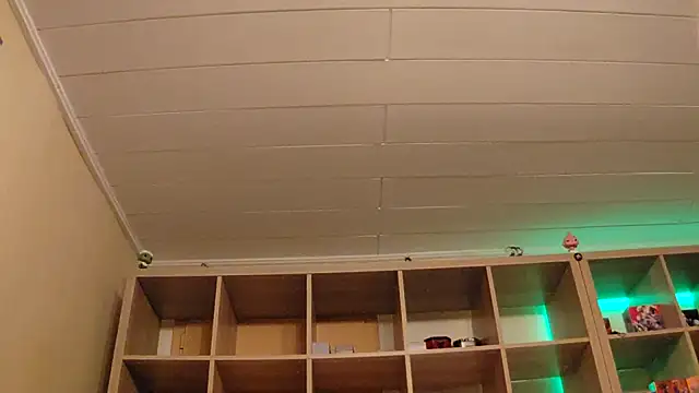 Snapshot of SilvyDiamond chatting on April 7, 7:36 pm SilvyDiamond online show from April 7, 7:36 pm