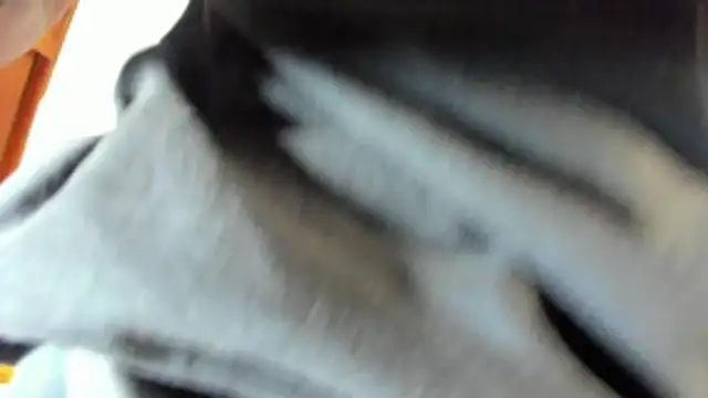 pipe monstercock online show from May 21, 8:16 pm