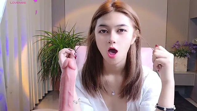 DoDo-2026 online show from June 3, 2:33 pm