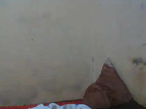 Snapshot of Rerpuss1 chatting on April 12, 8:25 pm Rerpuss1 online show from April 12, 8:25 pm