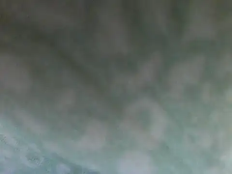 Short-V online show from April 17, 8:12 pm