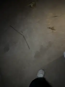   I like    online show from April 30, 2:45 pm