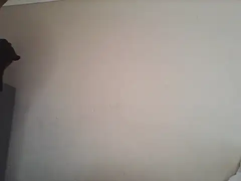 Tbangs  online show from June 13, 1:20 pm