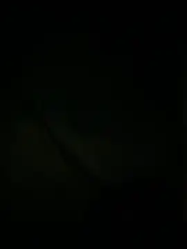 slutytransgal online show from May 6, 2:08 am