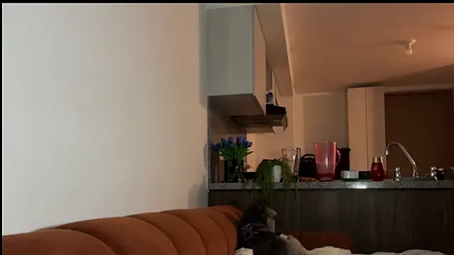 niah 11 online show from May 19, 11:33 pm
