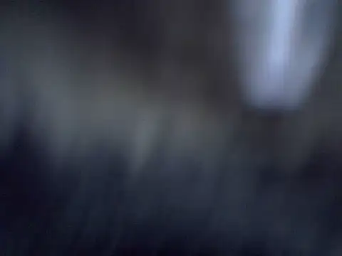 cutiebreey online show from June 23, 12:52 am
