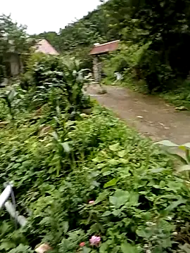 Elfledaa online show from June 20, 9:56 am