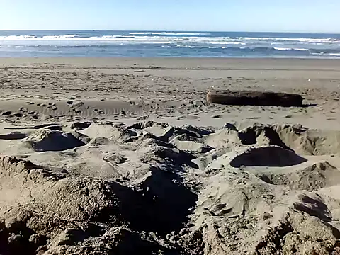 Snapshot of dog-naked chatting on January 22, 10:26 pm dog-naked online show from January 22, 10:26 pm