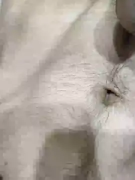 pussyedestroyer online show from May 31, 2:09 am