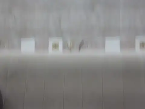 Snapshot of hey_darling_ chatting on June 12, 1:10 pm hey darling online show from June 12, 1:10 pm
