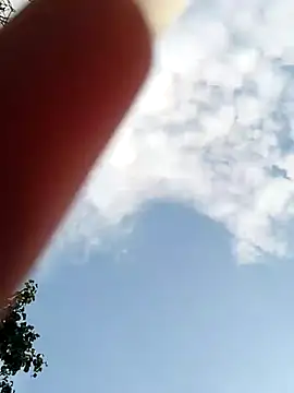 evil kitty online show from July 25, 3:42 pm
